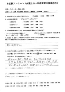 PDFプレビュー