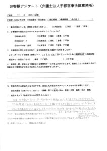 PDFプレビュー