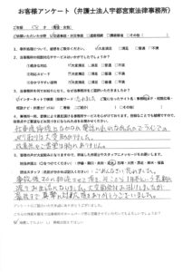 PDFプレビュー